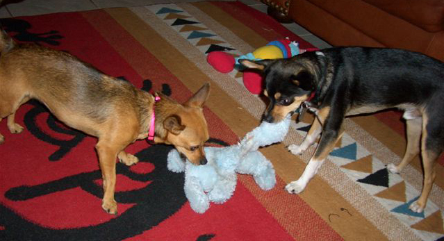 Sienna, now known as Tia